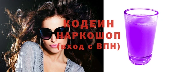 ПСИЛОЦИБИНОВЫЕ ГРИБЫ Арсеньев
