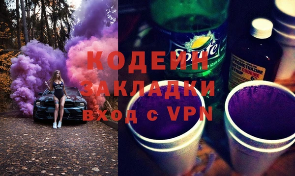 ПСИЛОЦИБИНОВЫЕ ГРИБЫ Арсеньев