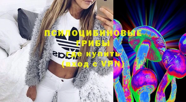 ПСИЛОЦИБИНОВЫЕ ГРИБЫ Арсеньев