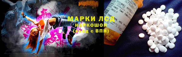 ПСИЛОЦИБИНОВЫЕ ГРИБЫ Арсеньев